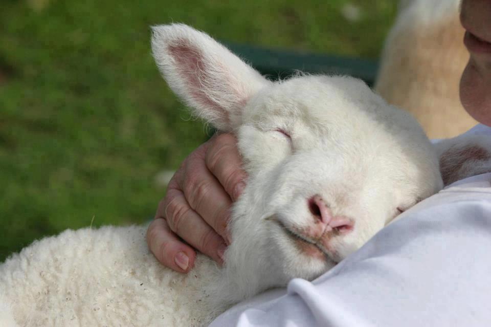 Pasqua tra viaggi, cultura e buona tavola