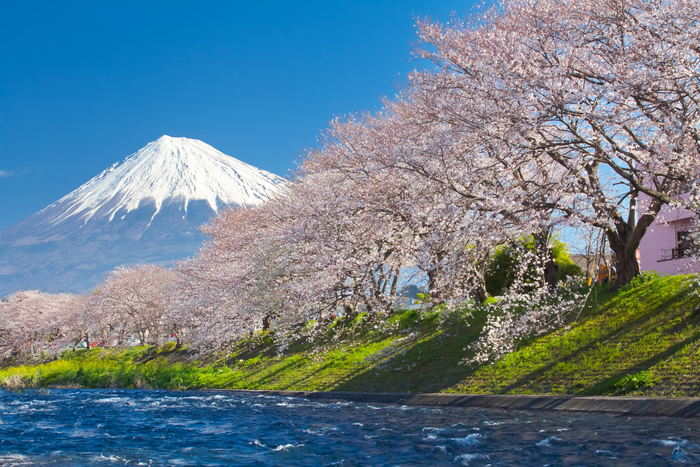 Mountain Fuji