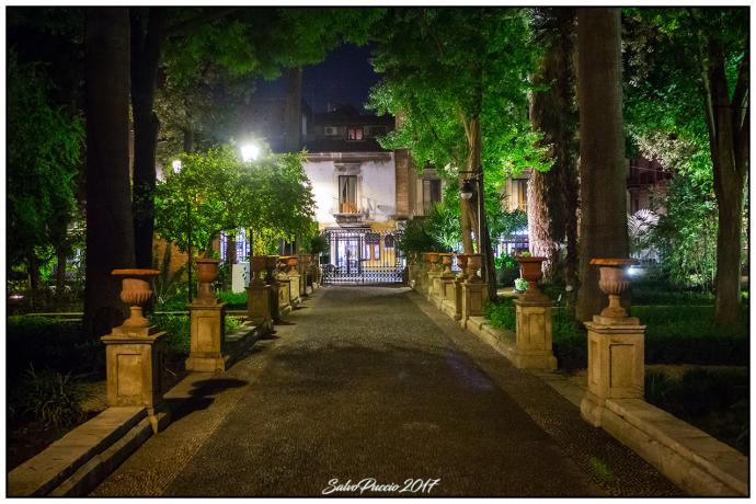 Notte europea dei musei, a Catania mostre e visite ai “Saperi e alle mirabilia siciliane”