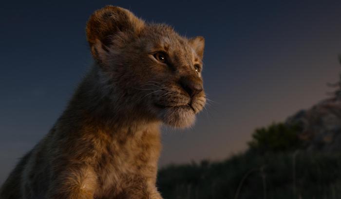 THE LION KING - Featuring the voice of JD McCrary as Young Simba, Disneys The Lion King is directed by Jon Favreau. In theaters July 19, 2019. © 2019 Disney Enterprises, Inc. All Rights Reserved.