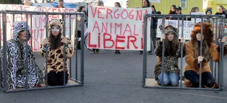 Animalisti contro il circo a Gela