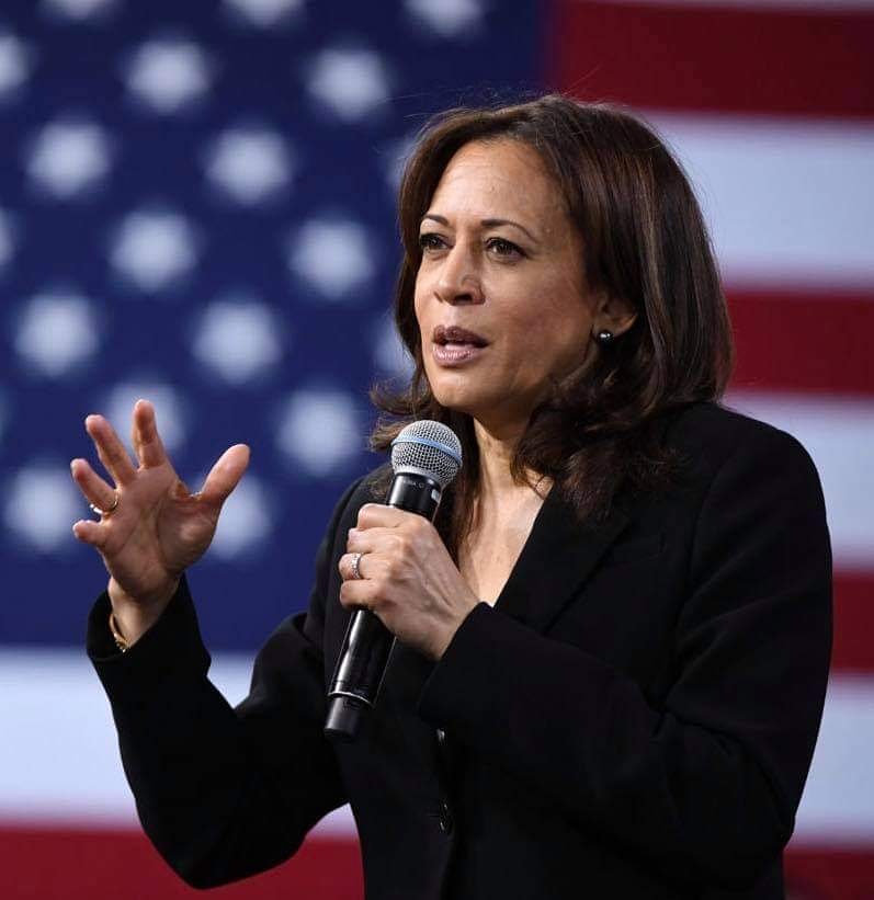 Kamala Harris, la prima donna vicepresidente degli Stati Uniti pronta per scrivere la storia