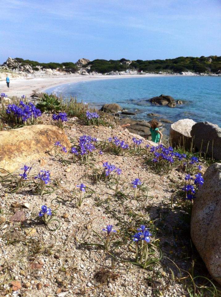 La Sardegna diventa zona bianca